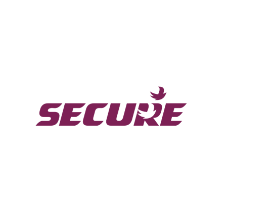 Secure Meters